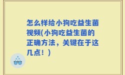 怎么样给小狗吃益生菌视频(小狗吃益生菌的正确方法，关键在于这几点！)