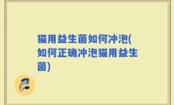 猫用益生菌如何冲泡(如何正确冲泡猫用益生菌)