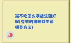 猫不吃怎么喂益生菌好呢(有效的猫咪益生菌喂养方法)