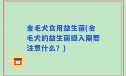金毛犬食用益生菌(金毛犬的益生菌摄入需要注意什么？)