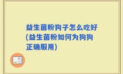 益生菌粉狗子怎么吃好(益生菌粉如何为狗狗正确服用)