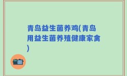 青岛益生菌养鸡(青岛用益生菌养殖健康家禽)
