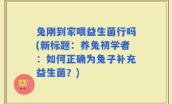 兔刚到家喂益生菌行吗(新标题：养兔初学者：如何正确为兔子补充益生菌？)