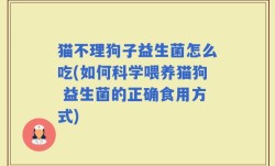 猫不理狗子益生菌怎么吃(如何科学喂养猫狗 益生菌的正确食用方式)
