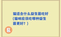猫适合什么益生菌吃好(猫咪应该吃哪种益生菌更好？)