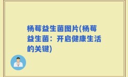 杨莓益生菌图片(杨莓益生菌：开启健康生活的关键)