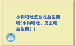 小狗呕吐怎么吃益生菌呢(小狗呕吐，怎么喂益生菌？)