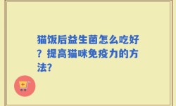 猫饭后益生菌怎么吃好？提高猫咪免疫力的方法？
