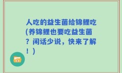 人吃的益生菌给锦鲤吃(养锦鲤也要吃益生菌？闲话少说，快来了解！)