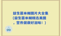 益生菌米糊图片大全集(益生菌米糊精选美图，营养健康好滋味！)
