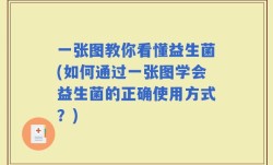 一张图教你看懂益生菌(如何通过一张图学会益生菌的正确使用方式？)