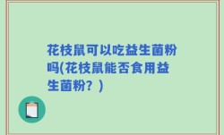 花枝鼠可以吃益生菌粉吗(花枝鼠能否食用益生菌粉？)