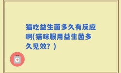 猫吃益生菌多久有反应啊(猫咪服用益生菌多久见效？)