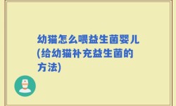 幼猫怎么喂益生菌婴儿(给幼猫补充益生菌的方法)