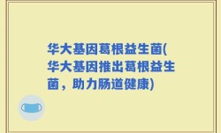华大基因葛根益生菌(华大基因推出葛根益生菌，助力肠道健康)
