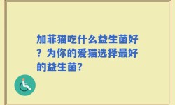 加菲猫吃什么益生菌好？为你的爱猫选择最好的益生菌？