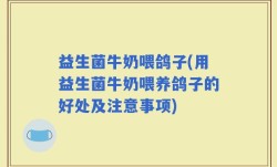 益生菌牛奶喂鸽子(用益生菌牛奶喂养鸽子的好处及注意事项)