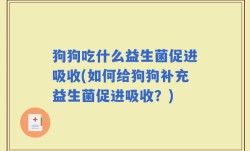 狗狗吃什么益生菌促进吸收(如何给狗狗补充益生菌促进吸收？)