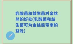 乳酸菌和益生菌对金丝熊的好处(乳酸菌和益生菌可为金丝熊带来的益处)