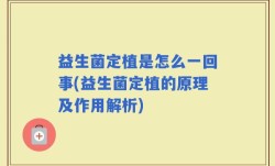 益生菌定植是怎么一回事(益生菌定植的原理及作用解析)
