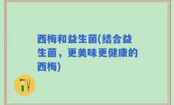 西梅和益生菌(结合益生菌，更美味更健康的西梅)
