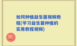 如何种植益生菌视频教程(学习益生菌种植的实用教程视频)