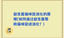 益生菌猫咪促消化的原理(如何通过益生菌帮助猫咪促进消化？)