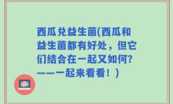 西瓜兑益生菌(西瓜和益生菌都有好处，但它们结合在一起又如何？——一起来看看！)