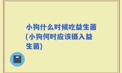 小狗什么时候吃益生菌(小狗何时应该摄入益生菌)