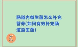 肠道内益生菌怎么补充营养(如何有效补充肠道益生菌)