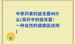 中草药里的益生菌叫什么(草药中的益生菌：一种自然的健康促进剂)