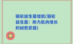 骆驼益生菌增肌(骆驼益生菌：助力肌肉增长的秘密武器)