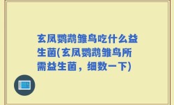玄凤鹦鹉雏鸟吃什么益生菌(玄凤鹦鹉雏鸟所需益生菌，细数一下)