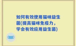 如何有效使用猫咪益生菌(提高猫咪免疫力，学会有效应用益生菌)
