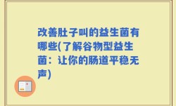 改善肚子叫的益生菌有哪些(了解谷物型益生菌：让你的肠道平稳无声)