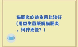 猫肠炎吃益生菌比较好(用益生菌缓解猫肠炎，何种更佳？)