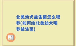 北美幼犬益生菌怎么喂养(如何给北美幼犬喂养益生菌)