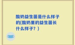 酸奶益生菌是什么样子的(酸奶里的益生菌长什么样子？)