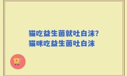 猫吃益生菌就吐白沫？猫咪吃益生菌吐白沫