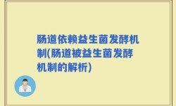 肠道依赖益生菌发酵机制(肠道被益生菌发酵机制的解析)