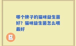 哪个牌子的猫咪益生菌好？猫咪益生菌怎么喂最好