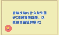 胃酸反酸吃什么益生菌好(减缓胃酸反酸，这些益生菌值得尝试)