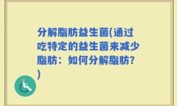 分解脂肪益生菌(通过吃特定的益生菌来减少脂肪：如何分解脂肪？)