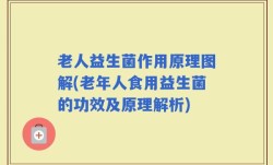 老人益生菌作用原理图解(老年人食用益生菌的功效及原理解析)