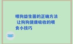 喂狗益生菌的正确方法 让狗狗健康吸收的喂食小技巧