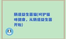 肠道益生菌猫(呵护猫咪健康，从肠道益生菌开始)