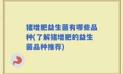 猪增肥益生菌有哪些品种(了解猪增肥的益生菌品种推荐)