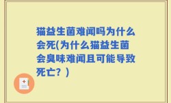 猫益生菌难闻吗为什么会死(为什么猫益生菌会臭味难闻且可能导致死亡？)