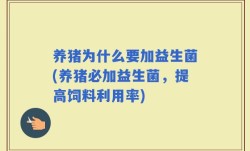 养猪为什么要加益生菌(养猪必加益生菌，提高饲料利用率)