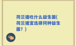 荷兰猪吃什么益生菌(荷兰猪宜选择何种益生菌？)